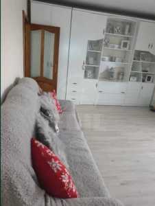 Apartament de vânzare 3 camere, APCJ354295-8