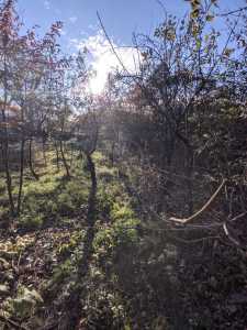 Casa de vânzare 2 camere, CACJ355249-11