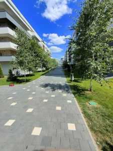 Apartament de Închiriere 2 camere, APCJ354768-17