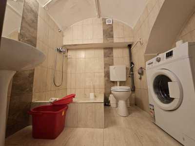 Apartament de Închiriere o camera, APCJ355036-4