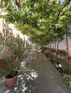 Apartament de Închiriere o camera, APCJ354750-8