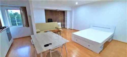 Apartament de Închiriere o camera, APCJ355295-3