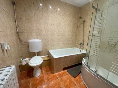 Apartament de Închiriere 2 camere, APCJ355155-10