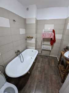 Apartament de Închiriere 2 camere, APCJ354907-10