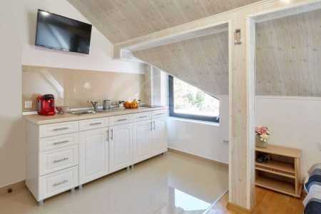 Apartament de Închiriere o camera, APCJ355159-3