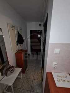 Apartament de Închiriere o camera, APCJ355690-7