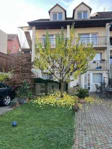 Casa de Închiriere 5 camere, CACJ355443-1