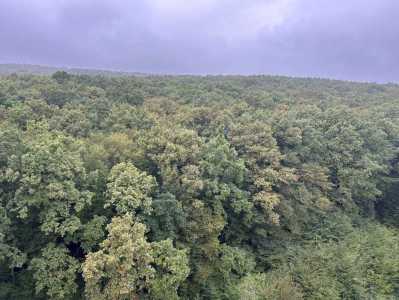 Garsoniera de Închiriere, GACJ355436-8