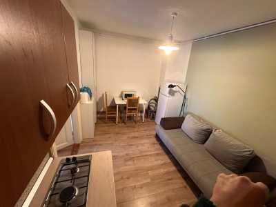Apartament de Închiriere o camera, APCJ356146-1