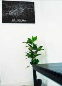 Apartament de Închiriere 3 camere, APCJ356397-6