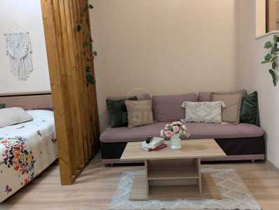 Apartament de Închiriere o camera, APCJ246984FLO-4