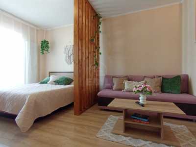 Apartament de Închiriere o camera, APCJ246984FLO-1