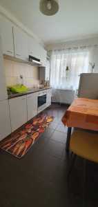 Apartament de Închiriere o camera, APCJ247076FLO