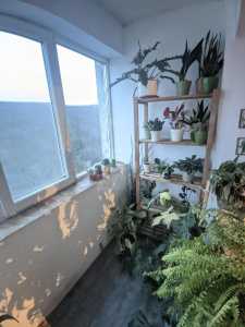 Apartament de vânzare 2 camere, APCJ356980-10