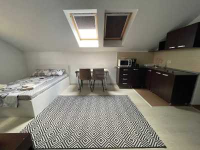 Apartament de Închiriere o camera, APCJ357207-8