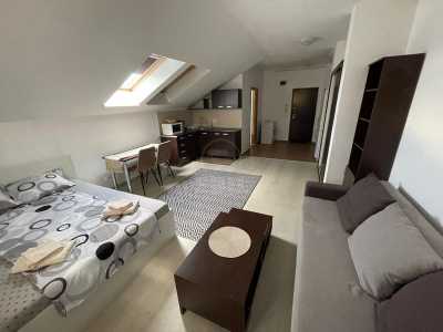 Apartament de Închiriere o camera, APCJ357207-1