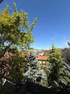 Apartament de Închiriere o camera, APCJ357868-16