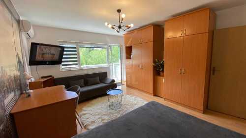 Apartament de Închiriere o camera, APCJ358304-3