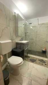 Apartament de Închiriere o camera, APCJ358304-10