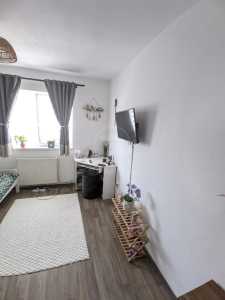 Apartament de vânzare 2 camere, APCJ358265-5