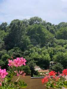 Apartament de vânzare 3 camere, APCJ358038-11