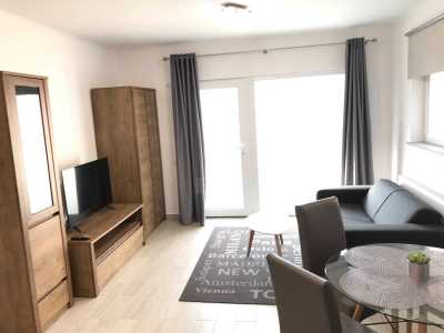 Apartament de Închiriere 2 camere, APCJ358579-11