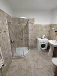 Apartament de Închiriere 2 camere, APCJ247306FLO-11