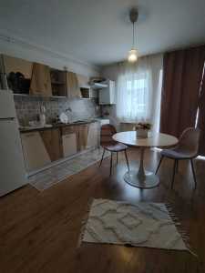 Apartament de Închiriere 2 camere, APCJ247306FLO-5