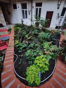 Apartament de Închiriere 2 camere, APCJ359366-7