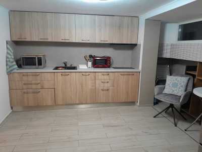 Apartament de Închiriere o camera, APCJ360170-4