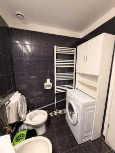 Apartament de Închiriere o camera, APCJ360143-11