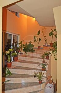 House for sale 10 rooms, CACJ193265FLO-4