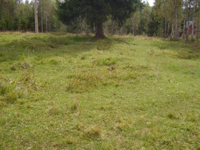 Land for sale, TECJ208440FLO-1