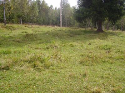 Land for sale, TECJ208440FLO-2