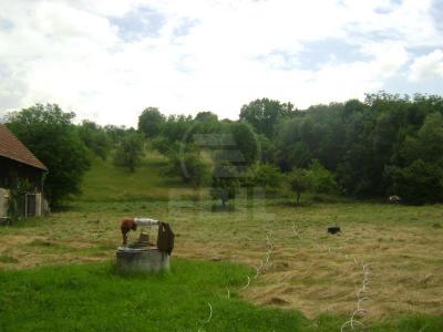 House for sale 3 rooms, CACJ218406-3