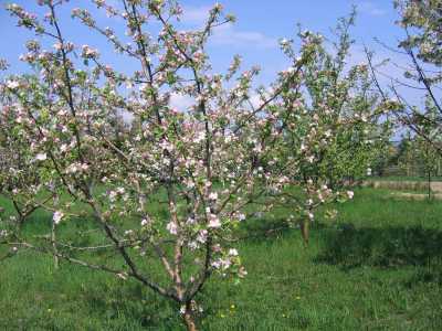 Land for sale, TECJ220656-5