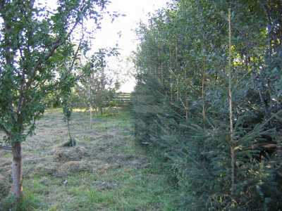 Land for sale, TECJ220656-8