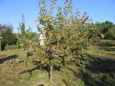 Land for sale, TECJ220656-3