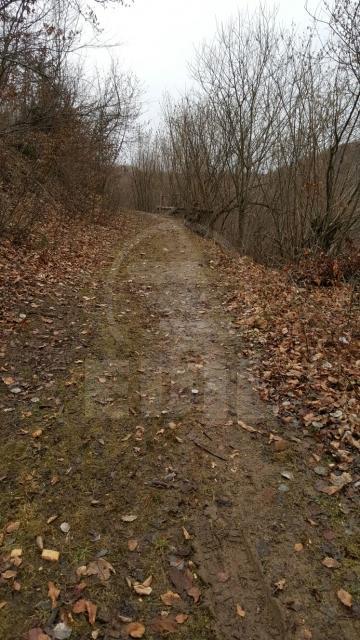 Land for sale, TECJ209581FLO-3