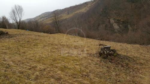 Land for sale, TECJ209581FLO-5