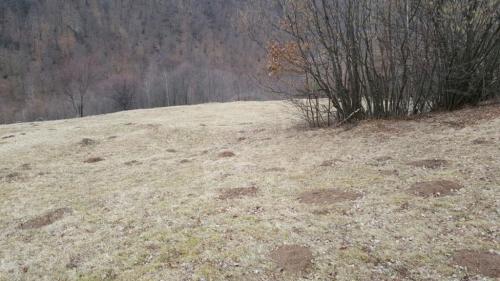 Land for sale, TECJ209581FLO-6