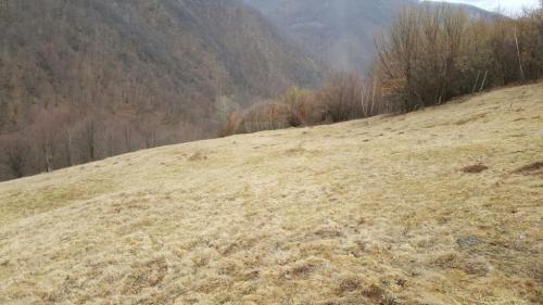 Land for sale, TECJ209581FLO-8