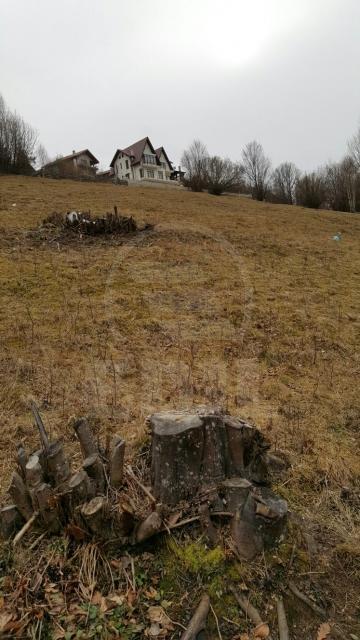 Land for sale, TECJ209581FLO-14