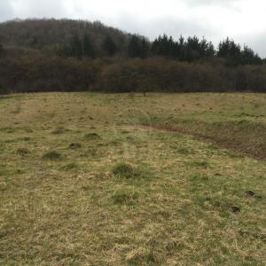 Land for sale, TECJ209670FLO