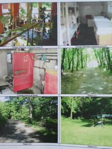 House for sale 14 rooms, CACJ226421-1