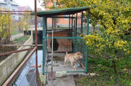 House for sale 7 rooms, CACJ272829-9