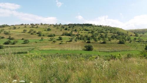 House for rent 3 rooms, CACJ273165-10