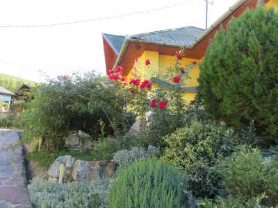 Guest house for sale 8 rooms, PECJ280034-31
