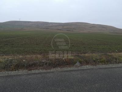 Land for sale, TECJ231248FLO-7