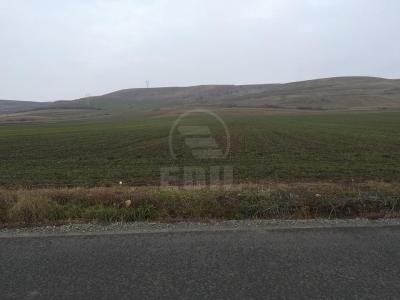 Land for sale, TECJ231248FLO